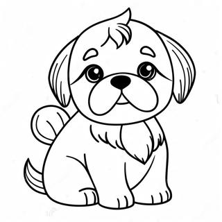 Khelnaa Niye Aakrssnniiy Shih Tju Rng Kraar Paataa 112704-48794