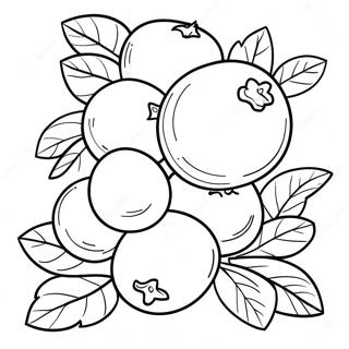 Baastbsmmt Bluberi Klaasttaar Rng Kraar Paataa 117935-53121