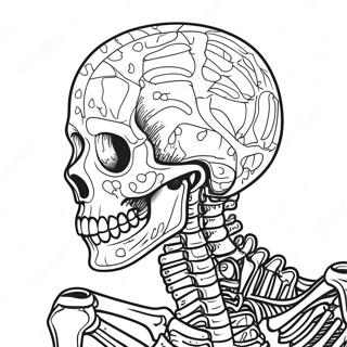 Bistrt Maanb Kngkaal Rng Kraar Paataa 123483-57783