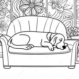 Sophaay Ghumaano Baasett Haaundd Rng Kraar Paataa 133390-65698