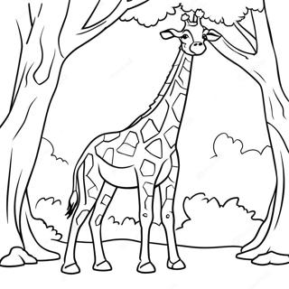 জিরাফ রঙিন পৃষ্ঠা