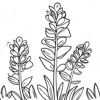 Rngin Tteksaas Blubonett Rng Kraar Paataa 46421-10159