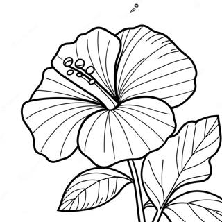 Ujjbl Golaapii Hibiskaaser Rng Kraar Paataa 83397-24722