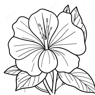 Ujjbl Golaapii Hibiskaaser Rng Kraar Paataa 83397-24723