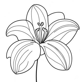 Lili Phul Rng Kraar Paataa 87311 27843