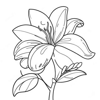 Sundr Lili Phul Rng Kraar Paataa 87312 27846