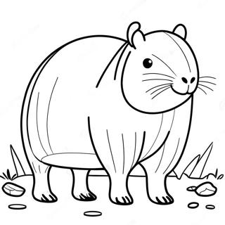 Kyaapibaaraa Rng Kraar Paataa 90324-30356