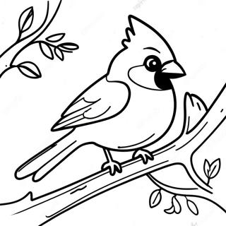 Ektti Shaakhaay Bse Thaakaa Sundr Kaarddinaal Rng Kraar Paataa 99625-38390