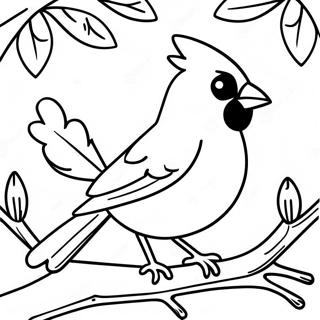 Ektti Shaakhaay Bse Thaakaa Sundr Kaarddinaal Rng Kraar Paataa 99625-38391